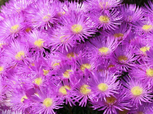 429991 (a): :1600x1200